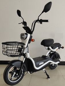 Biden  BDW500DQT4 Electric two wheeled light motorcycle