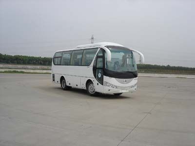 Lingyu  CLY6798H coach