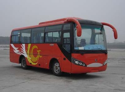 Lingyu  CLY6798H coach