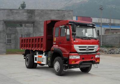 Star Steyr ZZ3161M3811D1 Dump truck