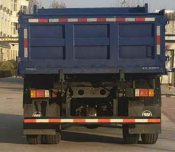 Foton  BJ3124DGPDA04 Dump truck