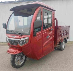 Senxiang  SX1200DZH6B Electric tricycle