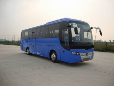 Huanghai  DD6119C30 coach