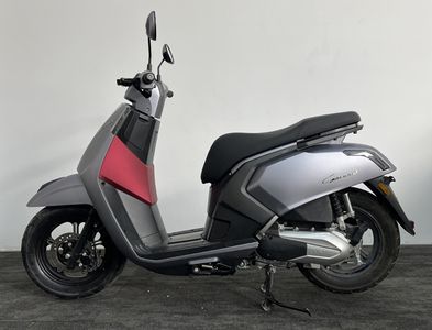 Lice  LK110T Two wheeled motorcycles