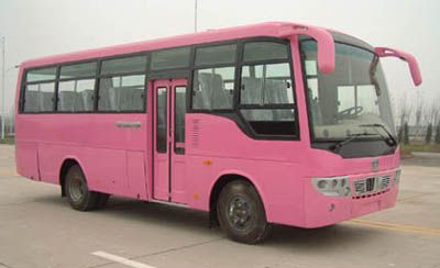 Zhongtong Automobile LCK6751D coach