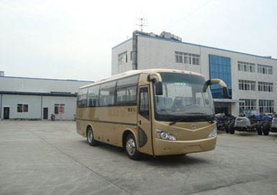 Mustang SQJ6800A1D4H coach