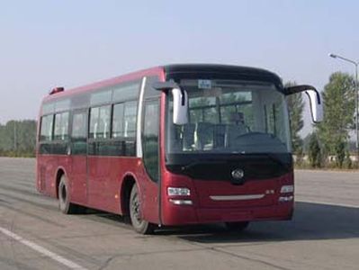 Huanghai  DD6109K61 coach