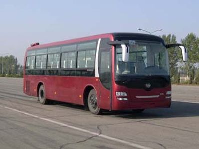 Huanghai  DD6109K61 coach