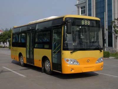 Friendship  ZGT6760DHS City buses