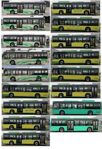 Chinese license plate cars TEG6105BEV25 Pure electric low floor city buses