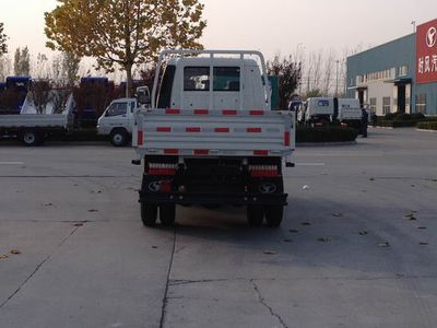 Shifeng  SSF1042HDW53 Truck