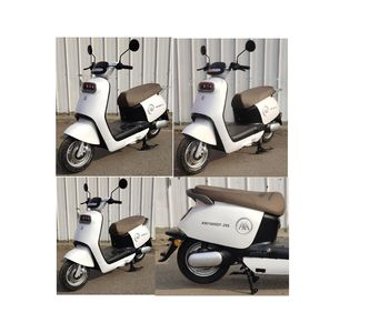 Emma  AM1000DT29S Electric two wheeled motorcycle