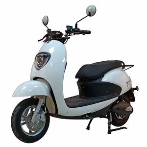 Tailing  TL1000DT53 Electric two wheeled motorcycle