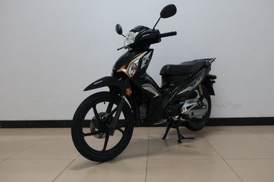 Wuyang Honda  WH12517A Two wheeled motorcycles