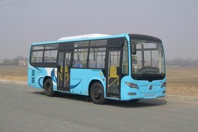 Huanghai DD6810S22City buses