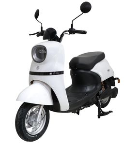 Emma  AM500DQT13T Electric two wheeled light motorcycle