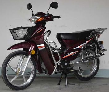 Honghonglie  HL1107X Two wheeled motorcycles