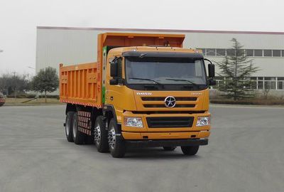 Dayun  CGC3313N4DD Dump truck