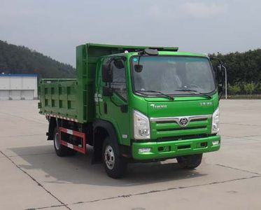 Shitong  STQ3041L02N2N5 Dump truck