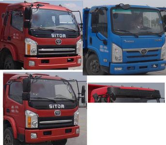 Shitong  STQ3041L02N2N5 Dump truck