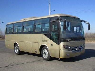 Shuchi  YTK6850D1 coach