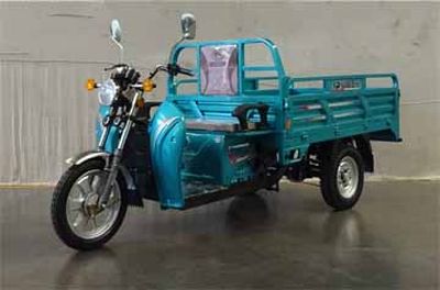 Five star  WX5000DZH Electric tricycle