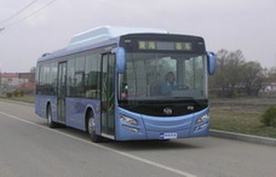 Huanghai  DD6126B11 City buses