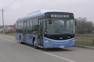 Huanghai  DD6126B11 City buses