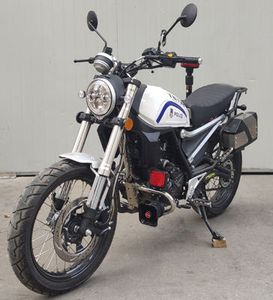 Tianying  TY250J2D Two wheeled motorcycles