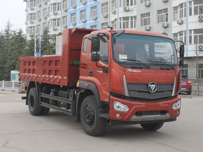 Foton  BJ3184DKPFG72 Dump truck