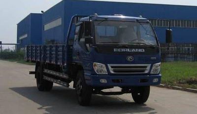 Foton  BJ1153VLPFGA Truck