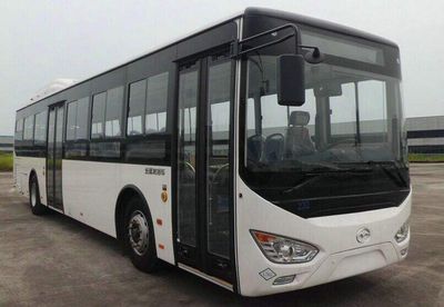 Wuzhoulong  FDG6113CNG City buses