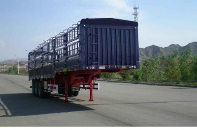 CIMC ZJV9301CLXBY Gantry transport semi-trailer