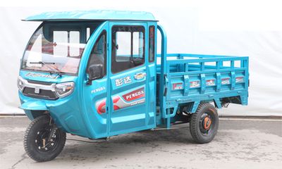 Pengda PD1200DZH2Electric tricycle