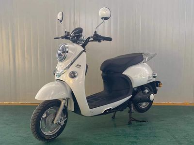 Dixiu  DX800DQT3 Electric two wheeled light motorcycle