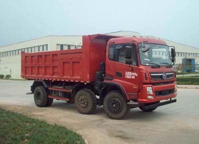 Nanjun  CNJ3250ZRPA50M Dump truck