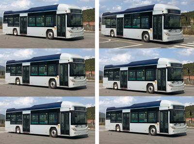 Feichi  FSQ6121FCEVG2 Fuel cell city buses