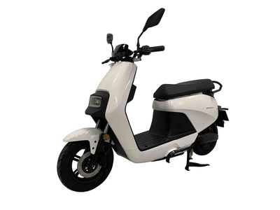 Ruishi  RS600DQT3A Electric two wheeled light motorcycle