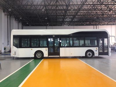 Jinlong  XMQ6127AGFCEV Fuel cell city buses