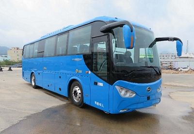 BYD  BYD6110LLEV1 Pure electric passenger cars