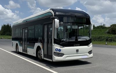 Shenwo  SWB6109EV11G Pure electric low floor city buses