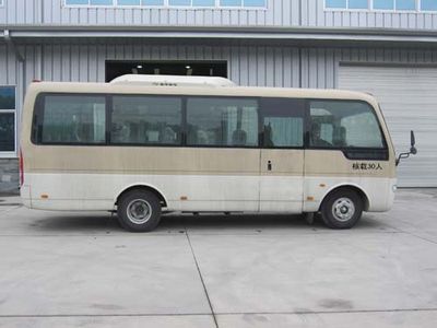 Jinlong  XMQ6728AYN4D coach