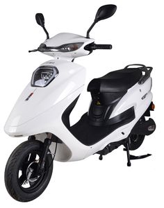 Biden  BDW1000DQT8 Electric two wheeled light motorcycle