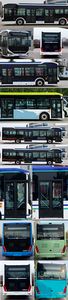 Zhongtong Automobile LCK6126EVGRA2 Pure electric low entry city buses