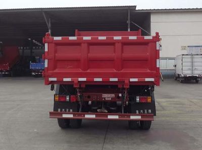 Ace car CDW3080A1B4 Dump truck