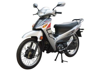 Xinyuan brand automobiles XY1107 Two wheeled motorcycles