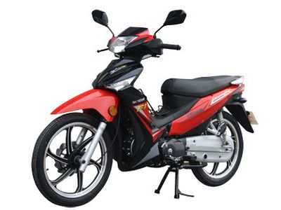 Xinyuan brand automobiles XY1107 Two wheeled motorcycles