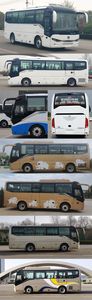 Zhongtong Automobile LCK6828EVQGA2 Pure electric city buses