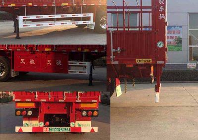 Tianjun Dejin brand automobiles TJV9408CCYE Gantry transport semi-trailer