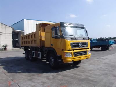 Dayun  DYX3252PA38WPD3A Dump truck